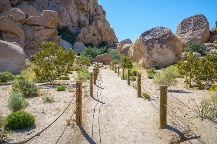 Joshua Tree National Park Trip Planner — Routes, Stops & Practical Tips photo 6