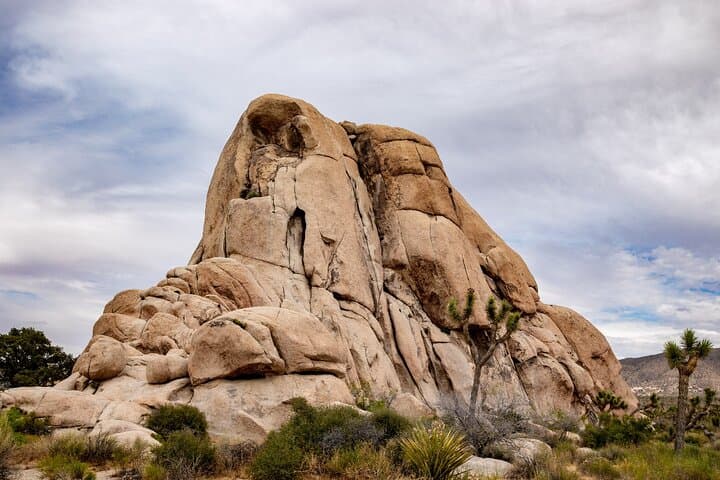 Joshua Tree National Park Trip Planner — Routes, Stops & Practical Tips photo 5