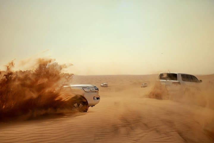 Royal Desert Fortress Safari in Dubai — Dune Bashing, Falconry & 5-Star Dinner photo 4
