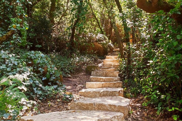 Sintra Private Hiking Adventure: Moorish Castle Trail & Hidden Local Paths photo 3
