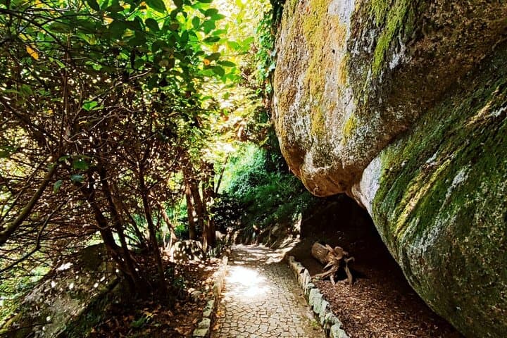 Sintra Private Hiking Adventure: Moorish Castle Trail & Hidden Local Paths photo 5