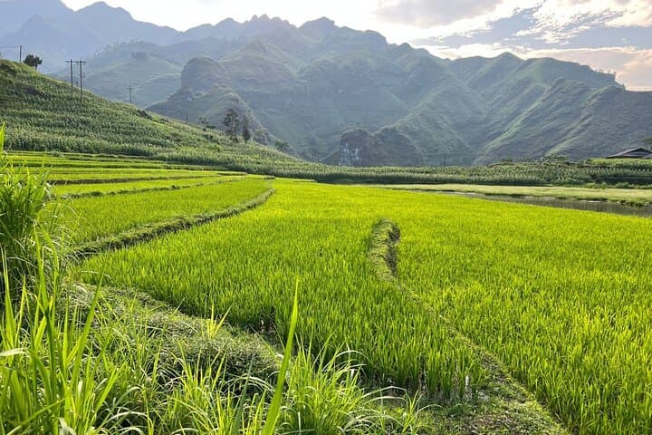 Ha Giang Loop 4-Day Adventure: Ma Pi Leng, Du Gia Waterfall & Authentic Homestays photo 5