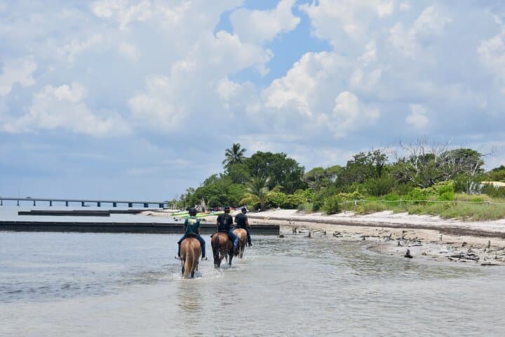 Guided Horseback Ride on Virginia Key Beach, Miami photo 2