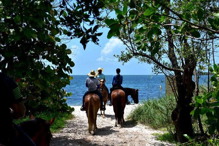 Guided Horseback Ride on Virginia Key Beach, Miami photo 3