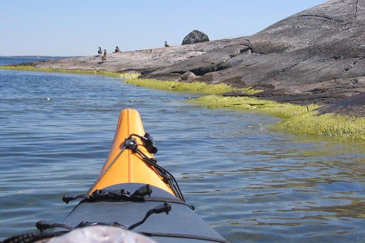 Paddle & Camp: 2-Day Self-Guided Kayak Tour in the Stockholm Archipelago photo 4