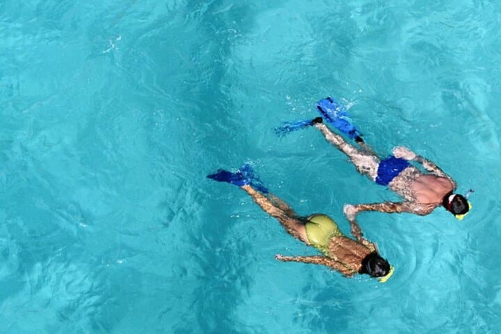 Private Half-Day Snorkel & Cruise on Serendipity — Providenciales Reef Adventure photo 6