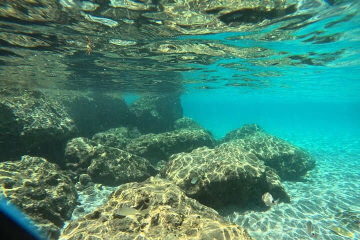 Peanut Island Snorkel and Paddle Adventure from Riviera Beach photo 6