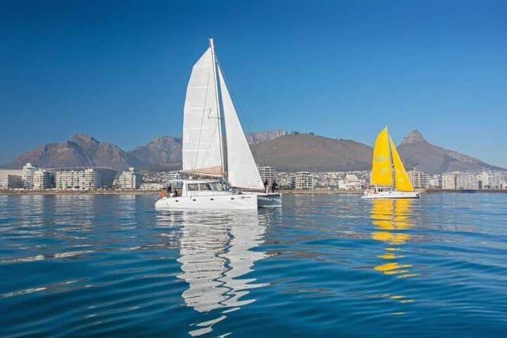 Midday Catamaran Cruise from V&A Waterfront to Green Point Lighthouse photo 2
