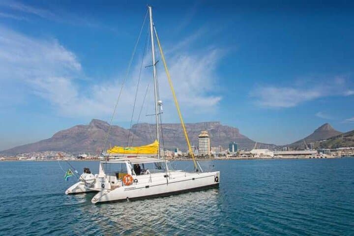 Midday Catamaran Cruise from V&A Waterfront to Green Point Lighthouse photo 3