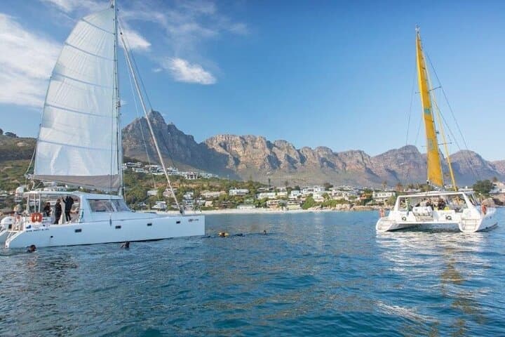 Midday Catamaran Cruise from V&A Waterfront to Green Point Lighthouse photo 4