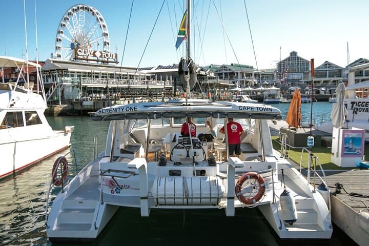 Soar Over Cape Town: Paragliding, Table Mountain City Tour & Sunset Cruise