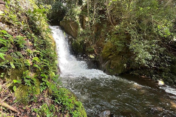 Rincón de la Vieja Santa Maria Hike & Hot Springs — Half-Day from Liberia photo 3
