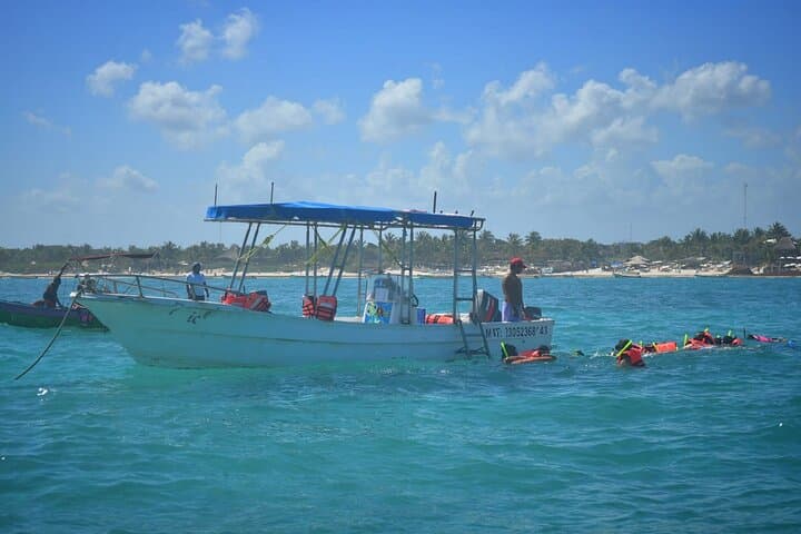 Mayan Snorkeling: Reef, Kaan Luum Lagoon & Cenote Adventure in Tulum photo 4