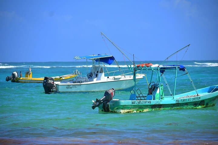 Mayan Snorkeling: Reef, Kaan Luum Lagoon & Cenote Adventure in Tulum photo 6