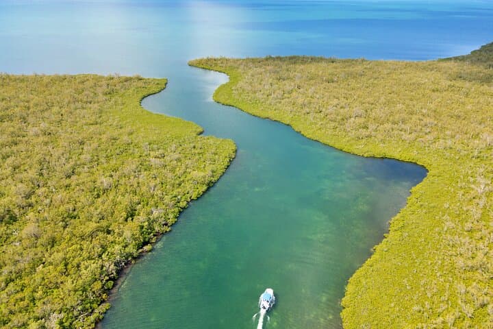 Private Guided Boat Charters in the Cayman Islands — Stingray City, Snorkel & Bioluminescence photo 4