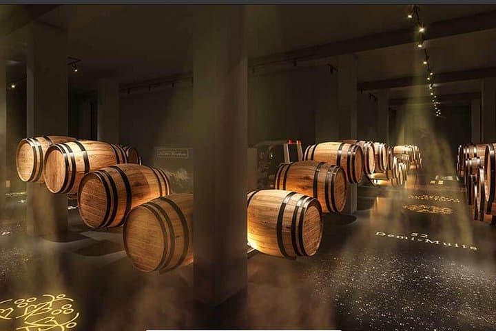 Full-Day Private Champagne Cellars Tour from Paris — Moët & Chandon Tasting & Gourmet Lunch