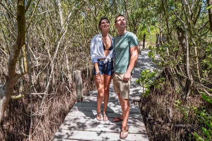 Full-Day Isla Contoy Sailing Nature Experience from Cancun to Isla Mujeres photo 6