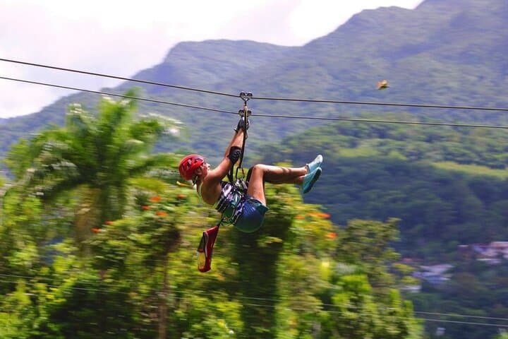 El Yunque Ziplining: Rainforest Canopy Adventure Near San Juan photo 6