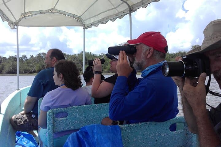 Wings of Belize: Crooked Tree Lagoon Birdwatching Boat Tour from Belize City photo 3
