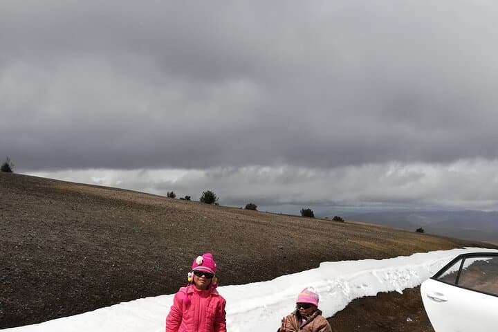 Chimborazo Day Tour from Riobamba — Hermanos Carrel to Whymper & Condor Cocha photo 4