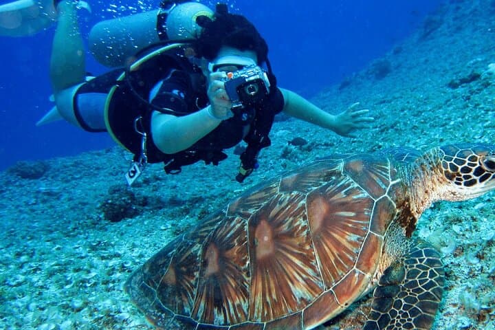 Bodrum Scuba Diving Experience: Aegean Reefs, Lunch and Roundtrip Transfer photo 3