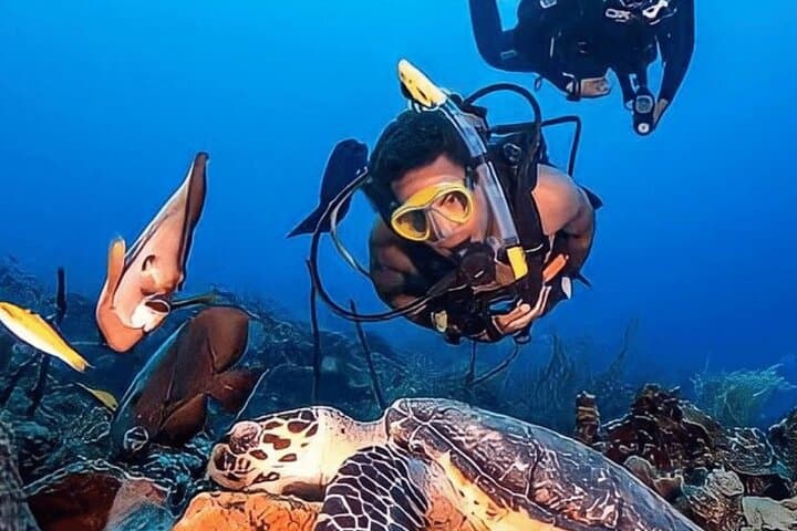 Bodrum Scuba Diving Experience: Aegean Reefs, Lunch and Roundtrip Transfer photo 4