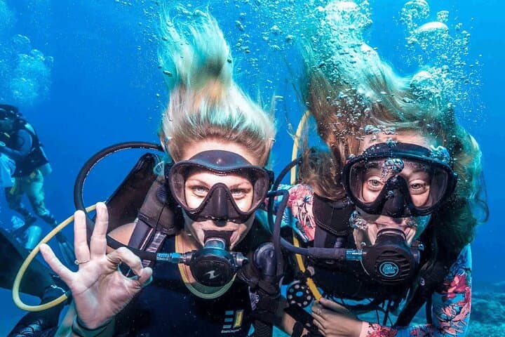 Bodrum Scuba Diving Experience: Aegean Reefs, Lunch and Roundtrip Transfer photo 5
