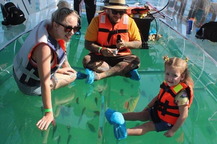 Transparent Boat to Land's End: Cabo San Lucas City Tour & Tequila Tasting photo 4