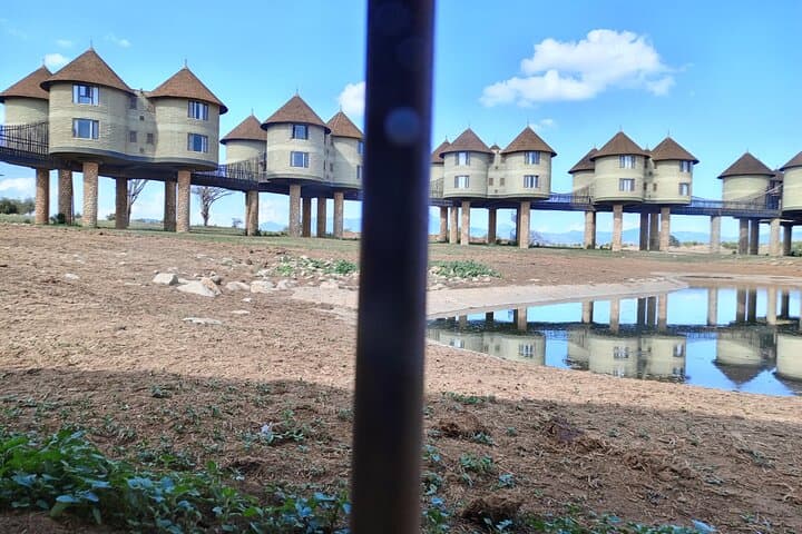 2-Day Tsavo East & Taita Hills Safari from Mombasa — Salt Lick Lodge Overnight photo 2