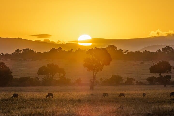 4-Day Masai Mara Guided Safari: Big Five, Mara River & Migration Highlights photo 4