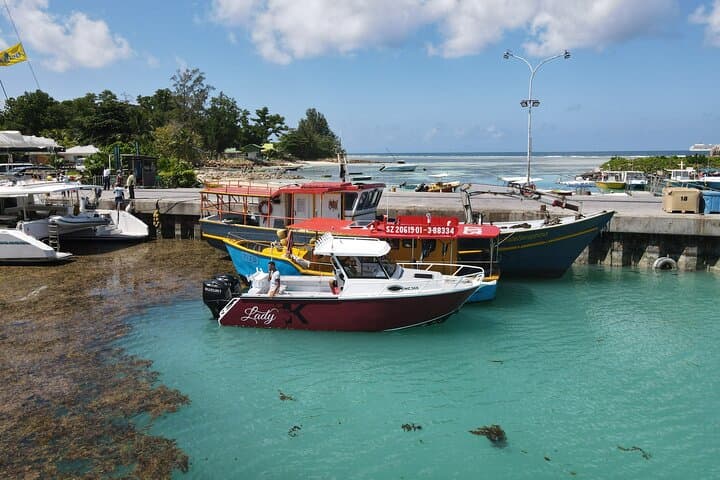 Private Full-Day Praslin & La Digue: Anse Source D'Argent, Coco de Mer & Snorkel photo 2
