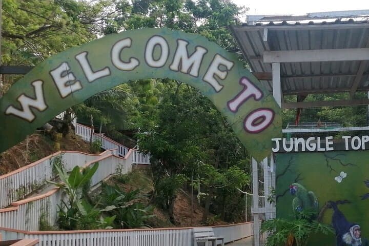 Roatán Sloth & Monkey Sanctuary and Chocolate‑Rum Cake Tour: Wildlife, Views & Island Flavors photo 6