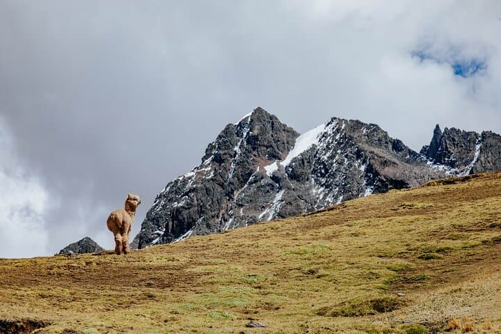 2-Day Rainbow Mountain & Red Valley Hike — Vinicunca Sunrise, Ausangate Views & Backcountry Camp photo 5