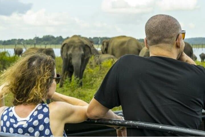 Budget Day Tour to Sigiriya, Dambulla and Habarana Safari from Colombo photo 4