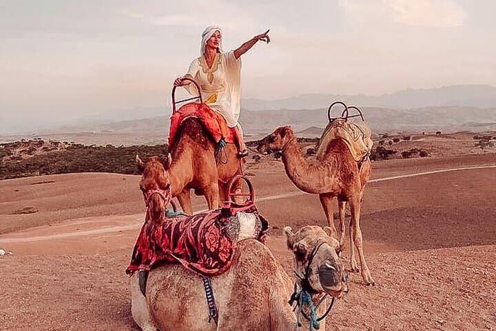 Sunset Camel Ride & Nomad Desert Dinner Near Marrakech photo 2