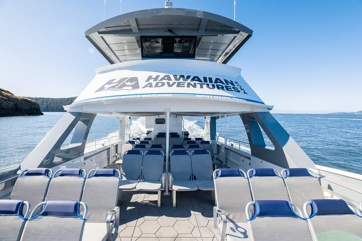 Kona Pelagic Whale Watch — Big Island Offshore Wildlife Tour photo 5