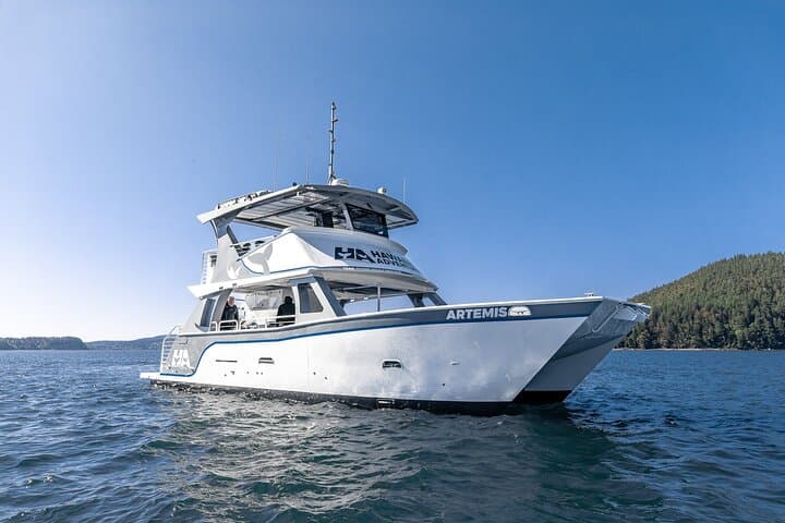 Kona Pelagic Whale Watch — Big Island Offshore Wildlife Tour photo 3
