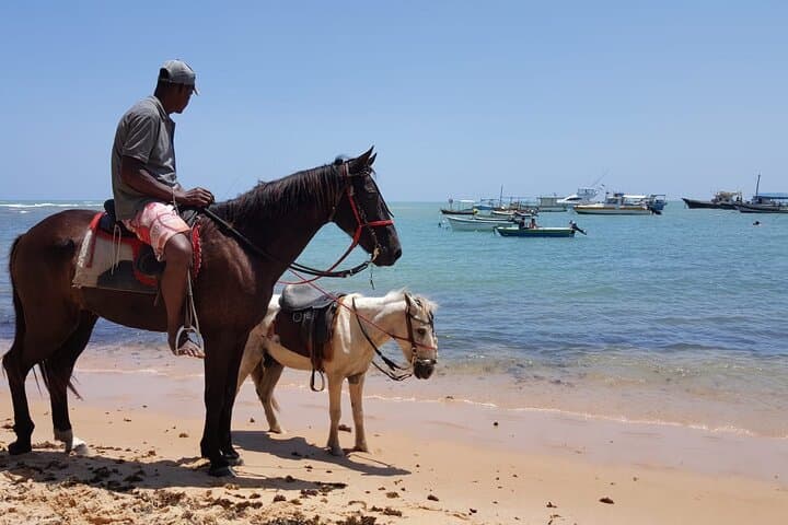 Coconut Coast & Praia do Forte Day Trip from Salvador — Private Coastal Tour photo 6