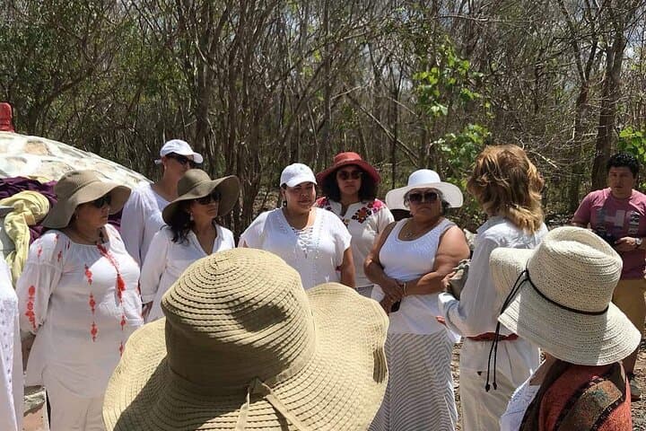 Mayan Temazcal Ceremony in Tulum: Traditional Healing & Jungle Ritual photo 4