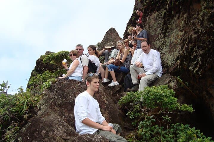 Conquer Mount Liamuiga: 7-Hour Hike to St. Kitts' Volcanic Crater photo 3