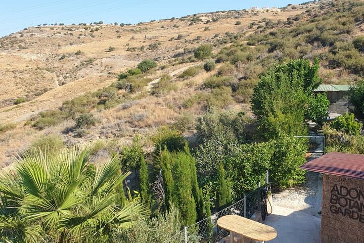 Akoursos Botanic Garden: Two-Hour Herb Walk, Workshop & Spring Swim photo 2