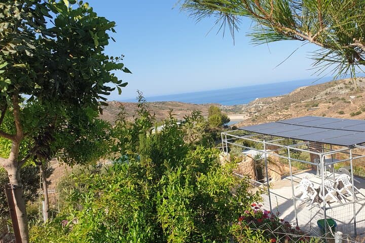 Akoursos Botanic Garden: Two-Hour Herb Walk, Workshop & Spring Swim photo 5