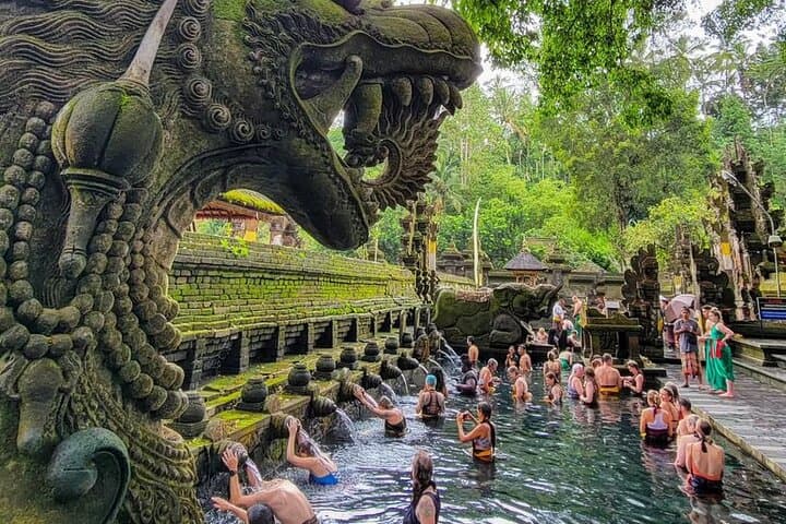 Private Car Hire in Ubud: Customize Your Day Tour with a Local Driver photo 2