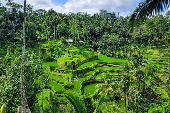 Private Car Hire in Ubud: Customize Your Day Tour with a Local Driver photo 4