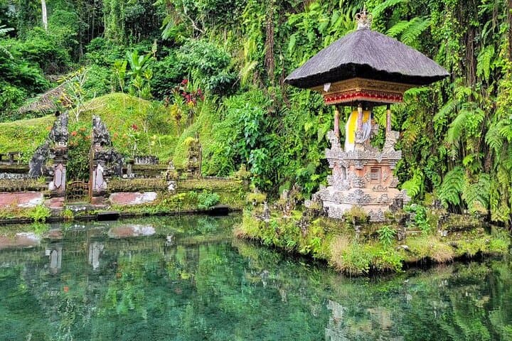 Private Car Hire in Ubud: Customize Your Day Tour with a Local Driver photo 3