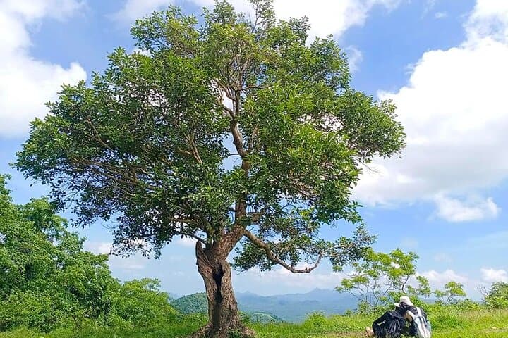 Nasugbu 3 Peaks Day Hike: Talamitam, Lantik & Apayang from Manila photo 6