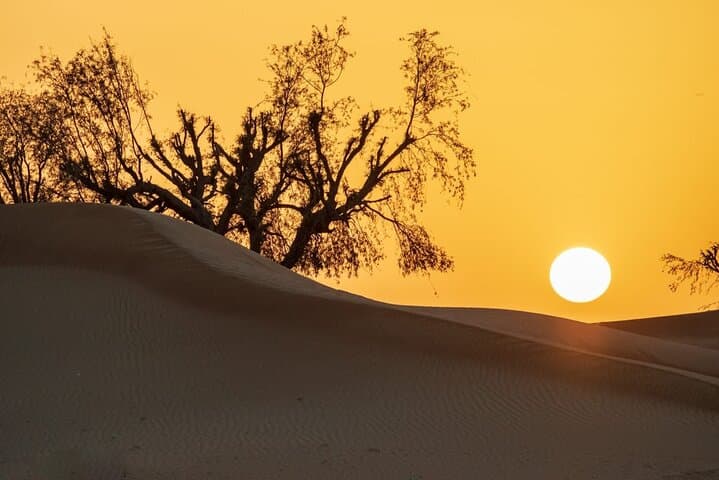 Sunrise Dune Drive in Dubai: Camel Trek, Sand Surfing & Red Dunes Photo Stops