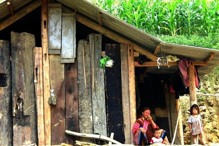 Sapa 2-Day Homestay Trek: Y Linh Ho, Ta Van & Giang Ta Chai photo 3