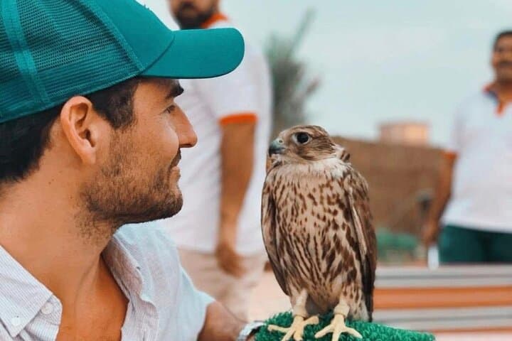 Deluxe Sunset Desert Safari Dubai — Dune Bashing, Sandboarding & BBQ Experience photo 5