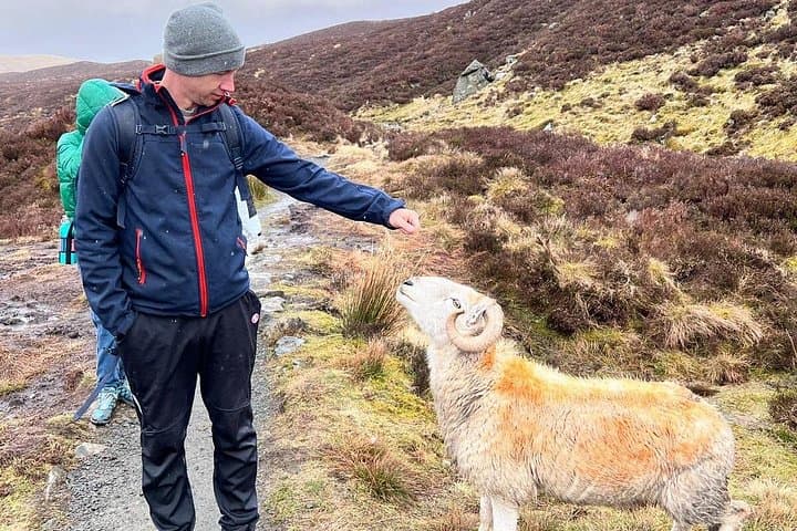 5-Day English Homestay & Guided Nature Tour from Edinburgh photo 2